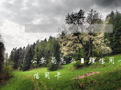公安局怎么處理信用卡逾期(如何處理逾期的信用卡)
