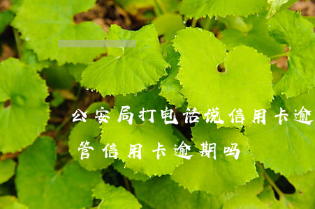 公安局打电话说信用卡逾期立案（刑侦大队都管信用卡逾期吗）