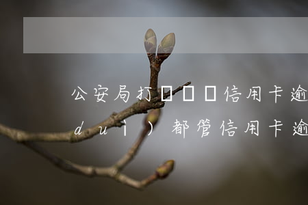 公安局打電話說信用卡逾期立案（刑偵大隊(duì)都管信用卡逾期嗎）