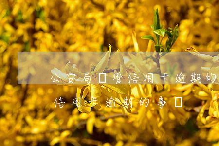 公安局會管信用卡逾期的事嗎-公安局會管信用卡逾期的事嗎