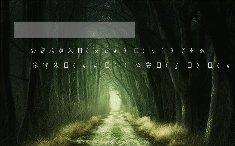 公安局深入學(xué)習(xí)了什么法律法規(guī)(公安機(jī)關(guān)公務(wù)員學(xué)法用法范文)