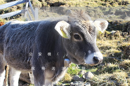 公安機(jī)關(guān)不依法向法院移送涉案財(cái)物如何處理