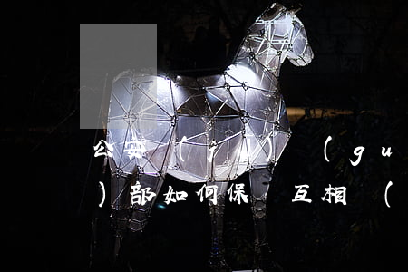 公安機(jī)關(guān)內(nèi)部如何保證互相監(jiān)督對(duì)刑事案件合法進(jìn)行