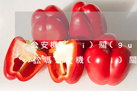 公安機(jī)關(guān)可以提起訴訟嗎(公安機(jī)關(guān)直接向法院公訴)