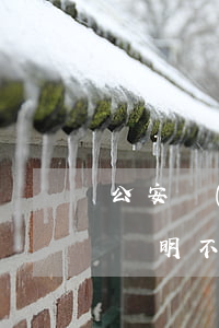 公安機(jī)關(guān)多少天書面說明不立案理由