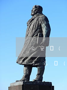 公安機(jī)關(guān)對(duì)已經(jīng)立案的刑事案件要進(jìn)行偵查嗎