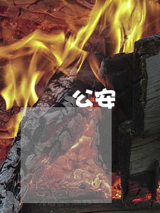 公安機關(guān)留置時限是多久