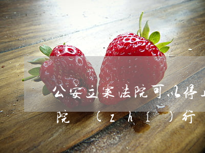 公安立案法院可以停止執(zhí)行嗎(法院執(zhí)行階段公安立案了)