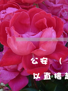 公安結(jié)案可以法院起訴嗎(公安可以直接起訴到法院嗎)