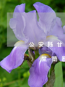 公安縣甘偉離婚(甘南州公安局閆衛(wèi)黨簡歷)