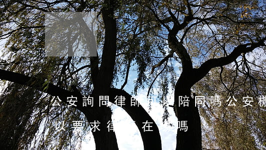 公安詢問律師可以陪同嗎(公安機關詢問時可以要求律師在場嗎)