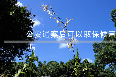 公安通案后可以取保候审吗(通案后还能取保吗)