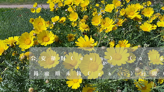 公安部對(duì)強(qiáng)戒人員逾期未執(zhí)行規(guī)定-公安部對(duì)強(qiáng)戒人員逾期未執(zhí)行規(guī)定的處罰