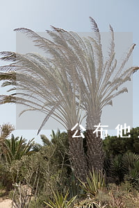 公布他人隱私屬于犯罪嗎