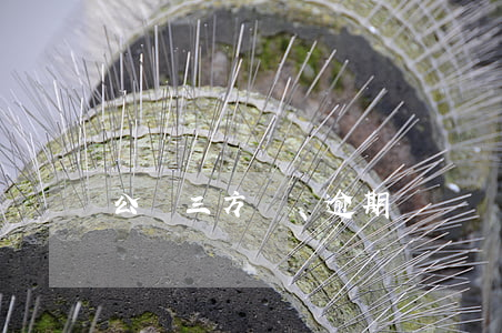 公戶三方協議逾期