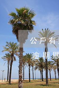 公戶有逾期賬單沒對會影響網銀嗎-公戶有逾期賬單沒對會影響網銀嗎安全嗎