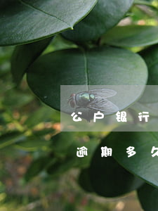 公户银行贷款逾期征信多久消失(公积金账户逾期多久会上征信)