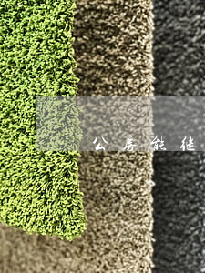 公房能继承吗(公管房可以继承吗)