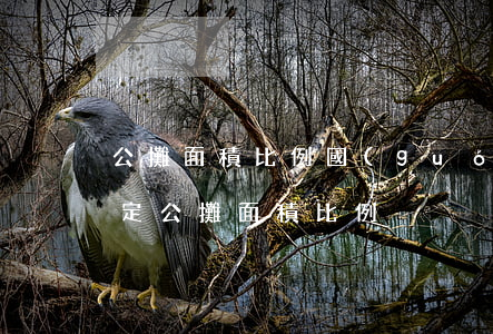 公攤面積比例(國(guó)家規(guī)定公攤面積比例)
