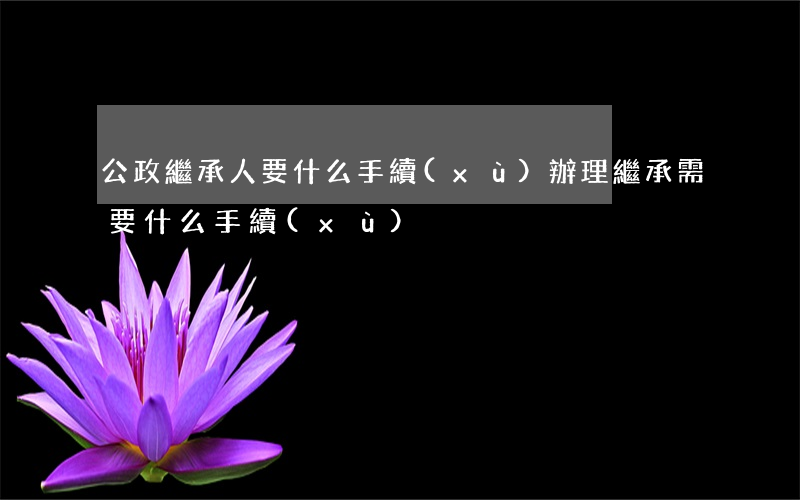 公政繼承人要什么手續(xù)(辦理繼承需要什么手續(xù))