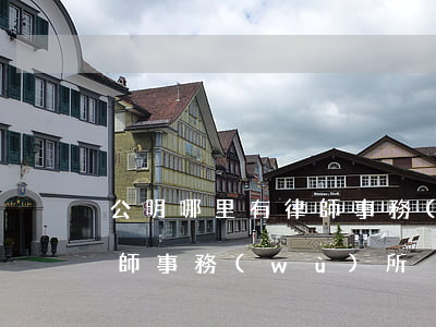 公明哪里有律師事務(wù)所(公明政和律師事務(wù)所)