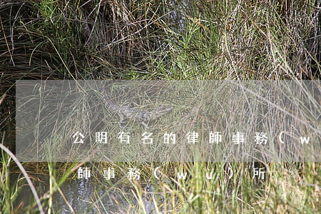 公明有名的律師事務(wù)所(公明政和律師事務(wù)所)