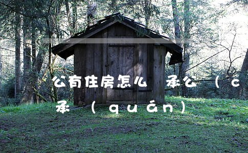 公有住房怎么繼承(公產(chǎn)房有繼承權(quán)嗎)