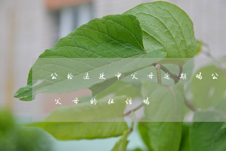 公检法政审父母逾期吗(公检法公务员政审查父母的征信吗?)