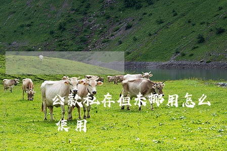 公款私存但未挪用怎么處理(挪用公款未實際使用)