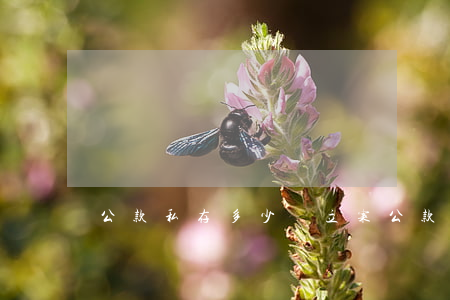 公款私存多少錢立案(公款私存 利息)