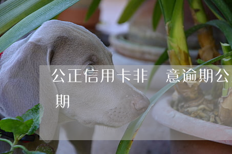 公正信用卡非惡意逾期(公正信用卡非惡意逾期)