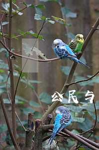 公民与人民的区别(公民与人民的区别与联系)