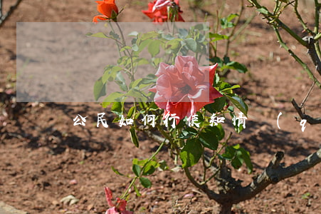 公民如何行使知情權(quán)
