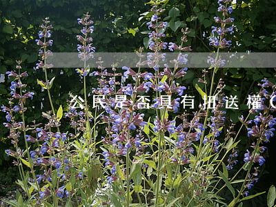 公民是否具有扭送權(quán)
