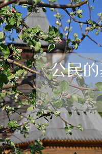 公民的基本权利有哪些