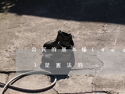 公民的基本權(quán)利和義務(wù)是憲法的