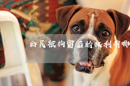 公民被拘留后的权利有哪些
