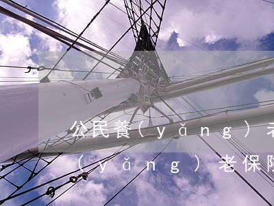 公民養(yǎng)老保險一月交多少錢（養(yǎng)老保險的含義是什么）