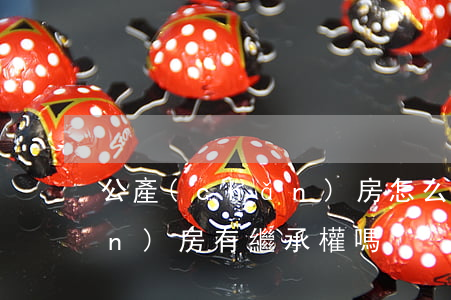 公產(chǎn)房怎么繼承(公產(chǎn)房有繼承權嗎)