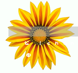 公產(chǎn)房遺贈引糾紛哪些人可能申請過戶