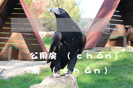公用房產(chǎn)證的房子離婚怎么分(房產(chǎn)證寫單獨所有離婚后怎樣分割)