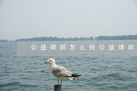 公益律師怎么找(公益律師怎么找)