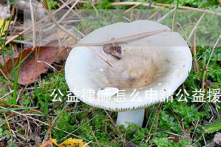 公益律師怎么申請(公益援助律師)