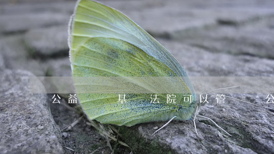公益訴訟基層法院可以管轄嗎(公益訴訟職能)
