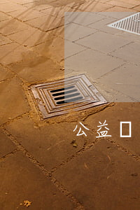 公益訴訟的范圍是什么
