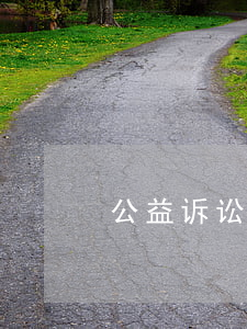 公益诉讼可以和解调解吗