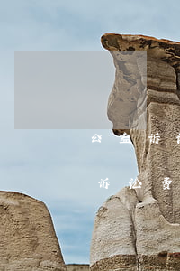 公益诉讼可以要求赔礼道歉吗(公益诉讼要交诉讼费吗)
