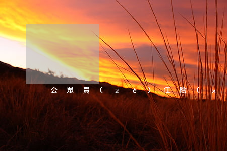 公眾責(zé)任險(xiǎn)