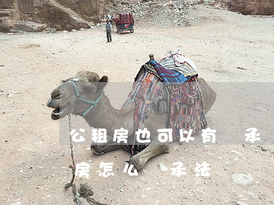 公租房也可以有繼承權(quán)嗎(公租房怎么繼承法)