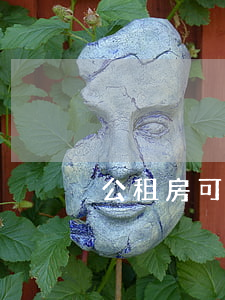 公租房可以繼承嗎(公租房怎么繼承法)